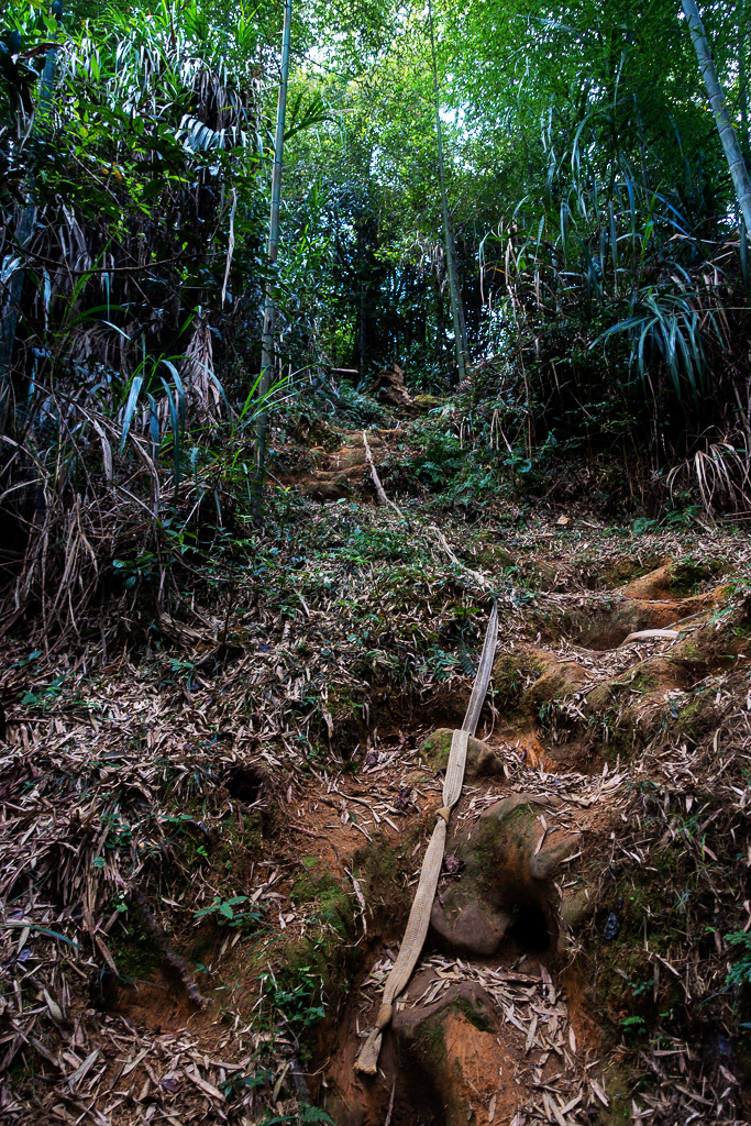 DSC09812.jpg DSC09812.jpg