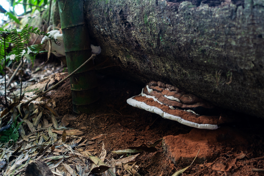 DSC09811.jpg DSC09811.jpg