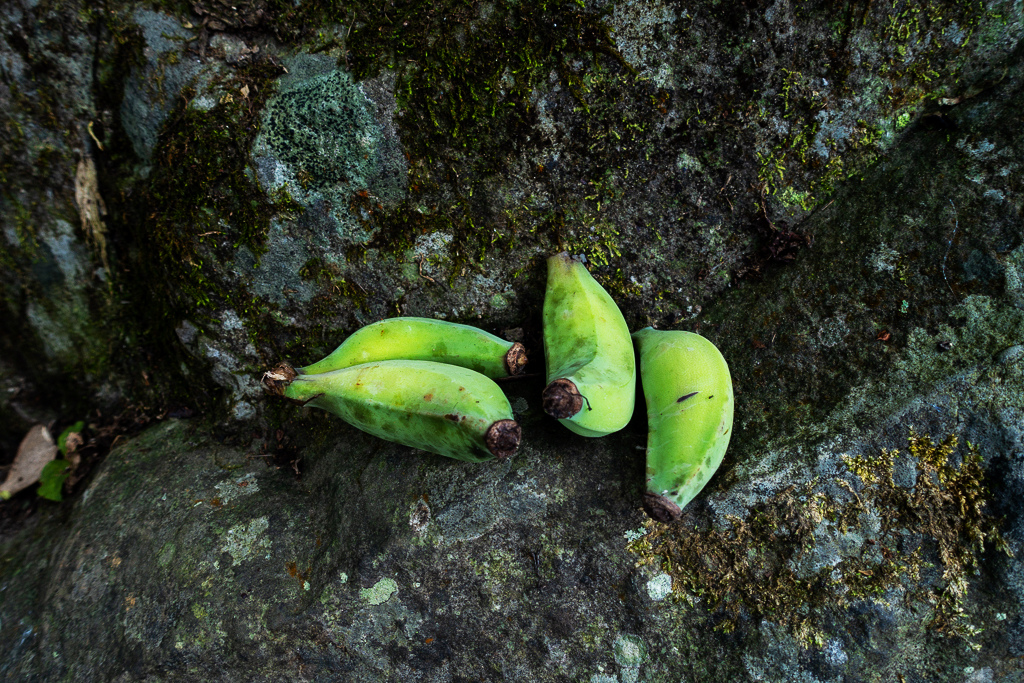 DSC09822.jpg DSC09822.jpg