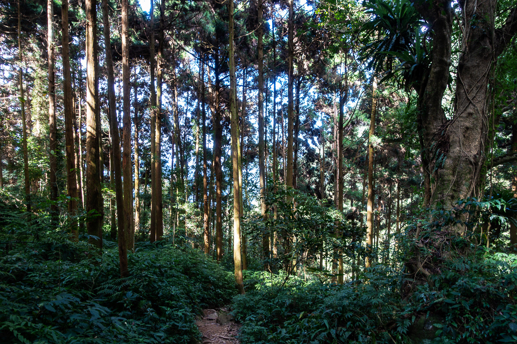 DSC09820.jpg DSC09820.jpg