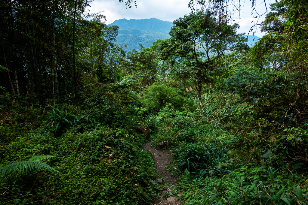 DSC09821.jpg DSC09821.jpg