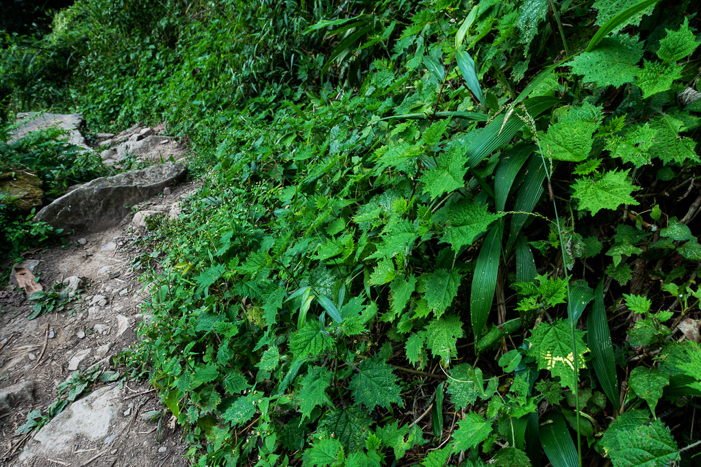 DSC09823.jpg DSC09823.jpg