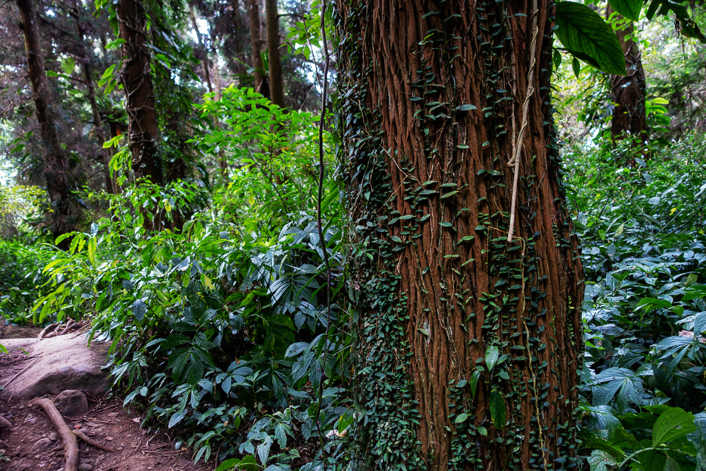 DSC09824.jpg DSC09824.jpg