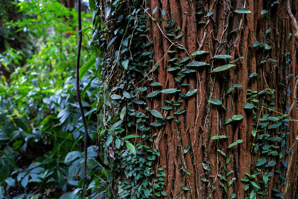 DSC09825.jpg DSC09825.jpg