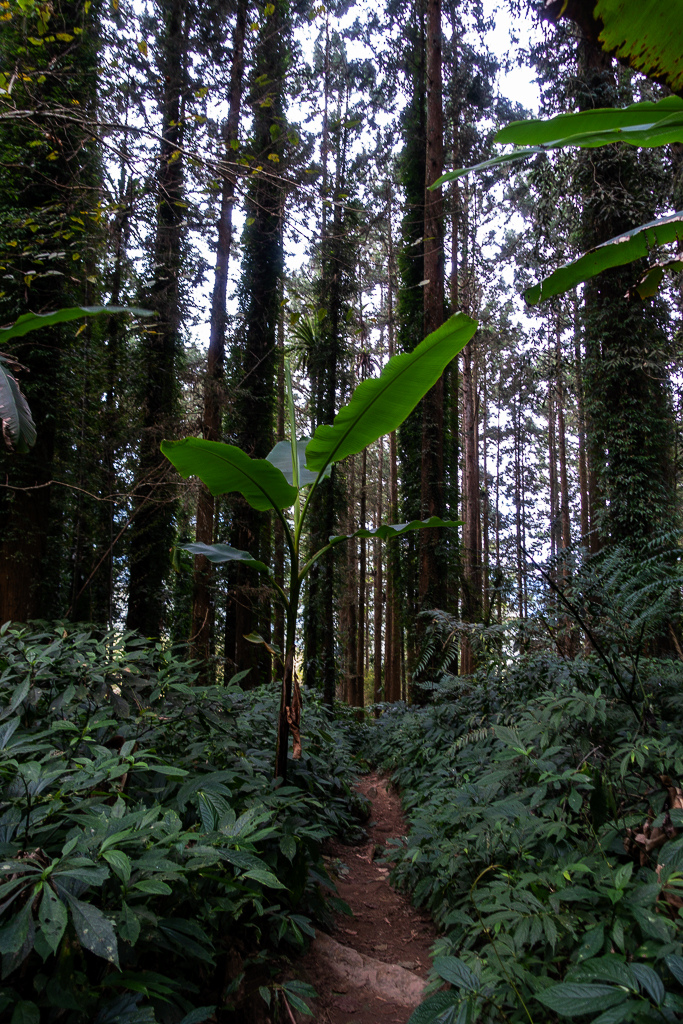 DSC09826.jpg DSC09826.jpg