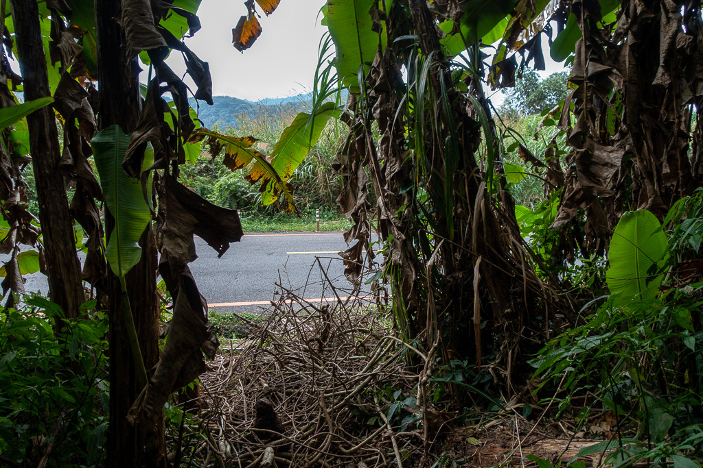 DSC09827.jpg DSC09827.jpg