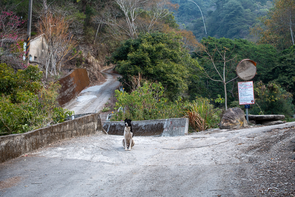 DSC00417.jpg DSC00417.jpg