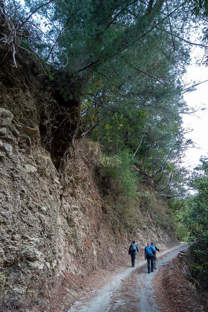 DSC00420.jpg DSC00420.jpg