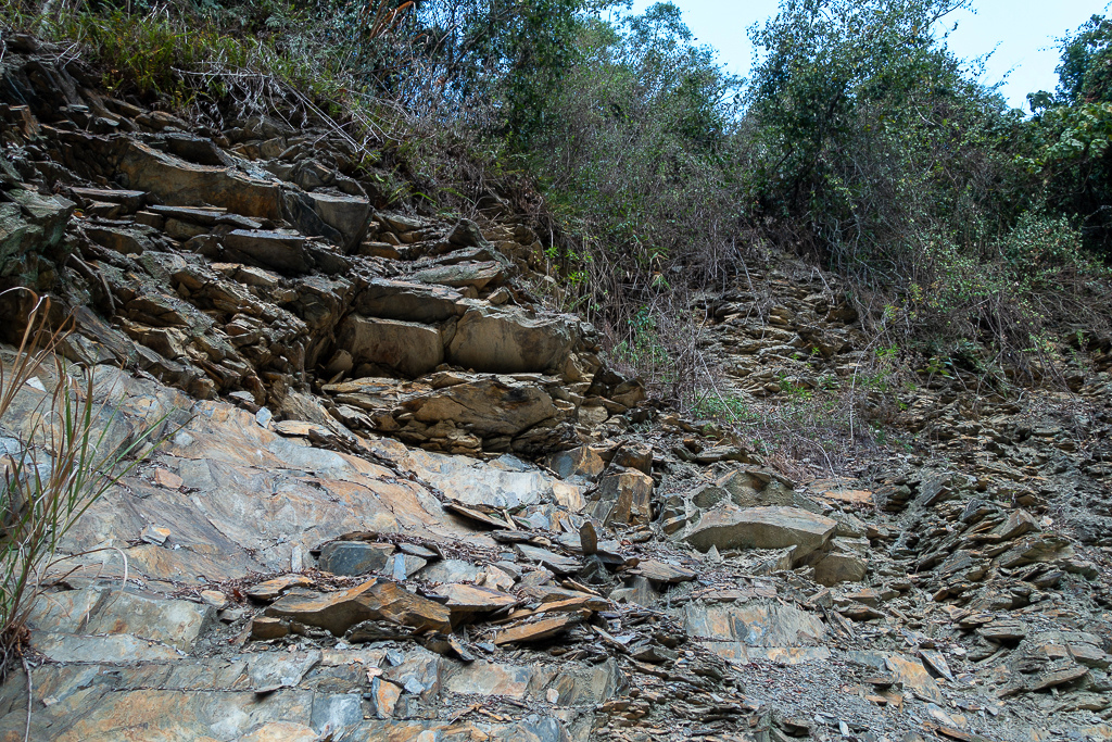 DSC00422.jpg DSC00422.jpg