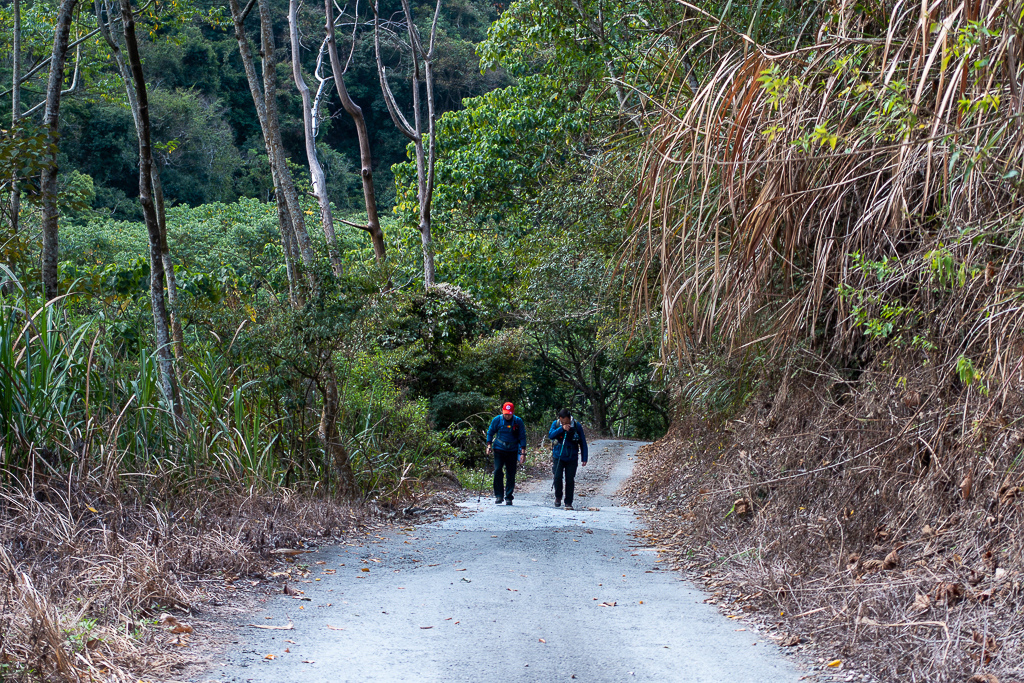 DSC00423.jpg DSC00423.jpg