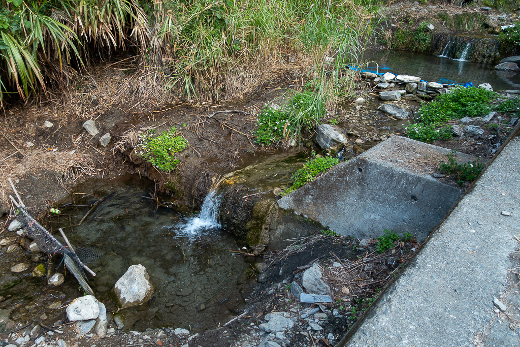 DSC00424.jpg DSC00424.jpg