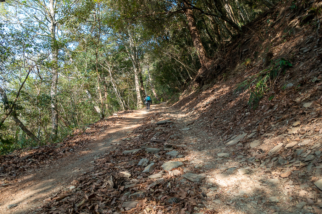 DSC00428.jpg DSC00428.jpg