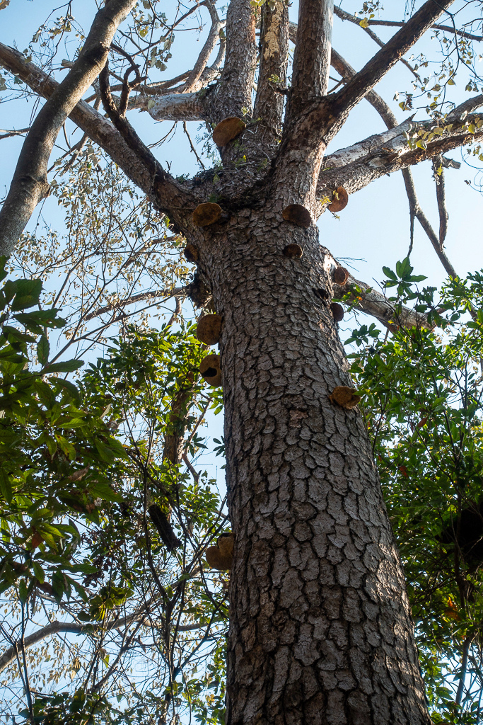 DSC00435.jpg DSC00435.jpg