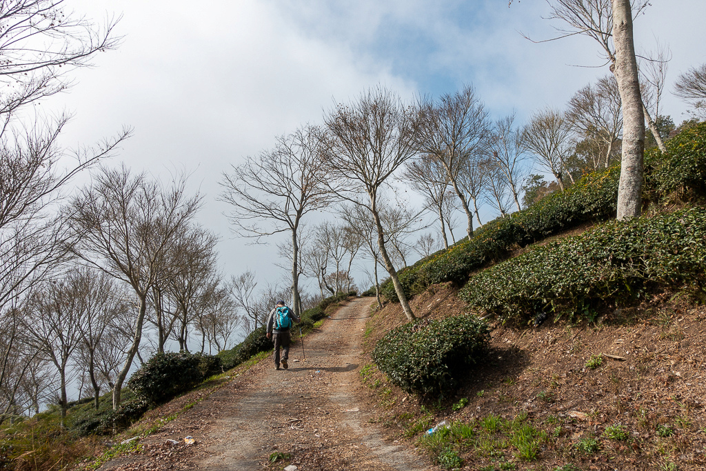 DSC00436.jpg DSC00436.jpg