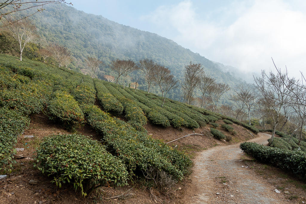 DSC00437.jpg DSC00437.jpg