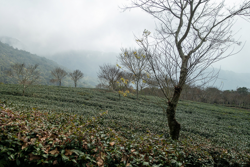 DSC00440.jpg DSC00440.jpg