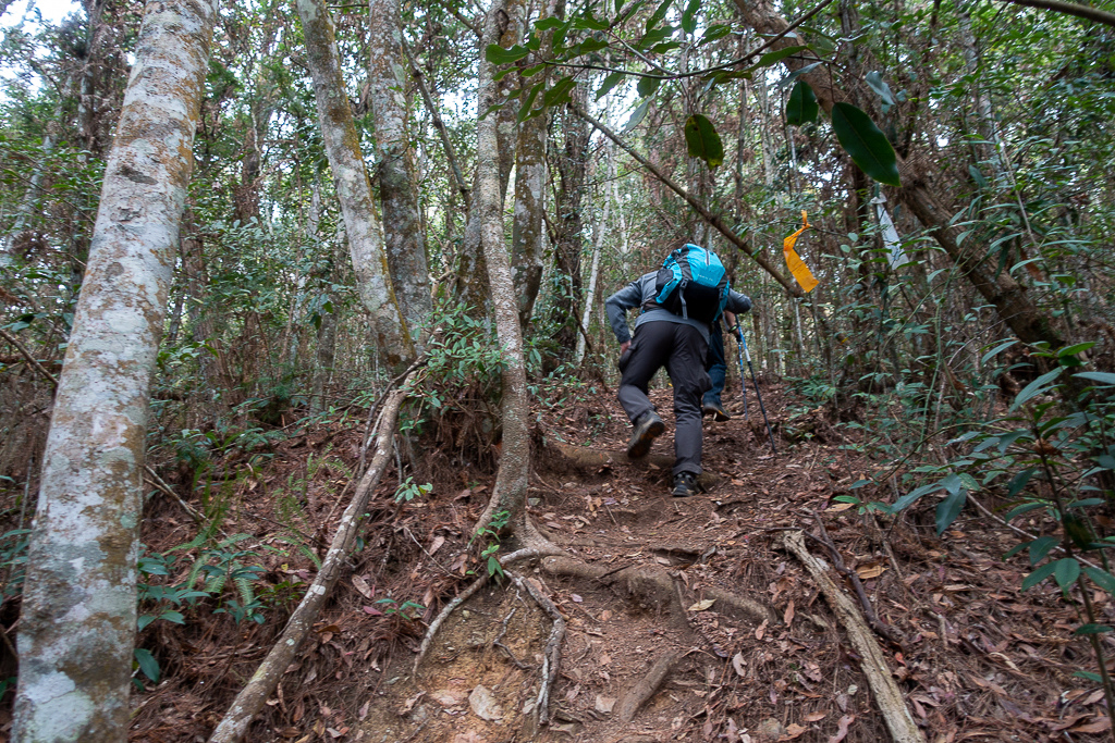 DSC00445.jpg DSC00445.jpg