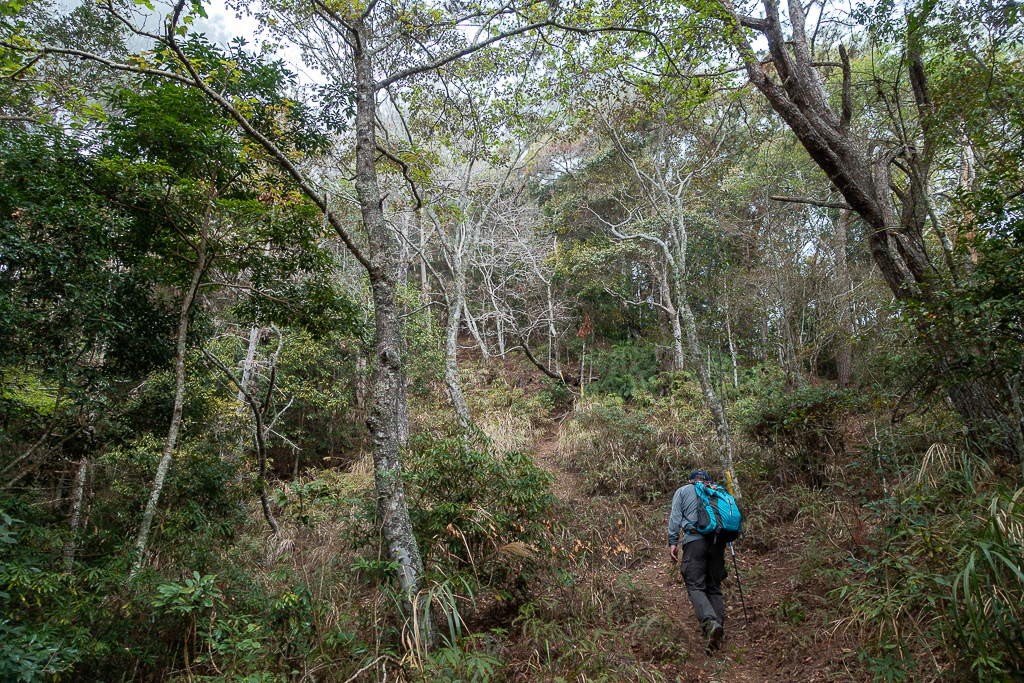 DSC00450.jpg DSC00450.jpg