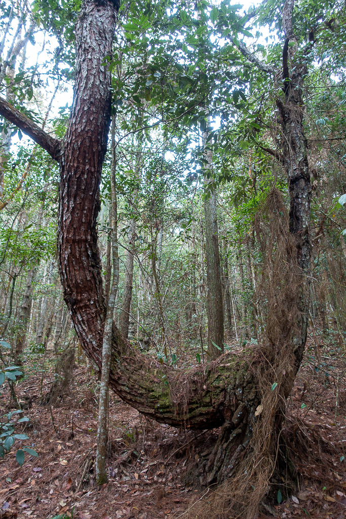 DSC00452.jpg DSC00452.jpg