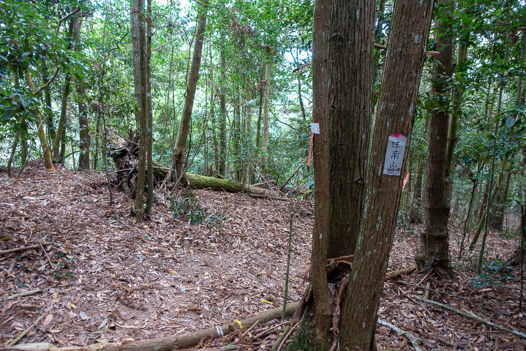 DSC00453.jpg DSC00453.jpg