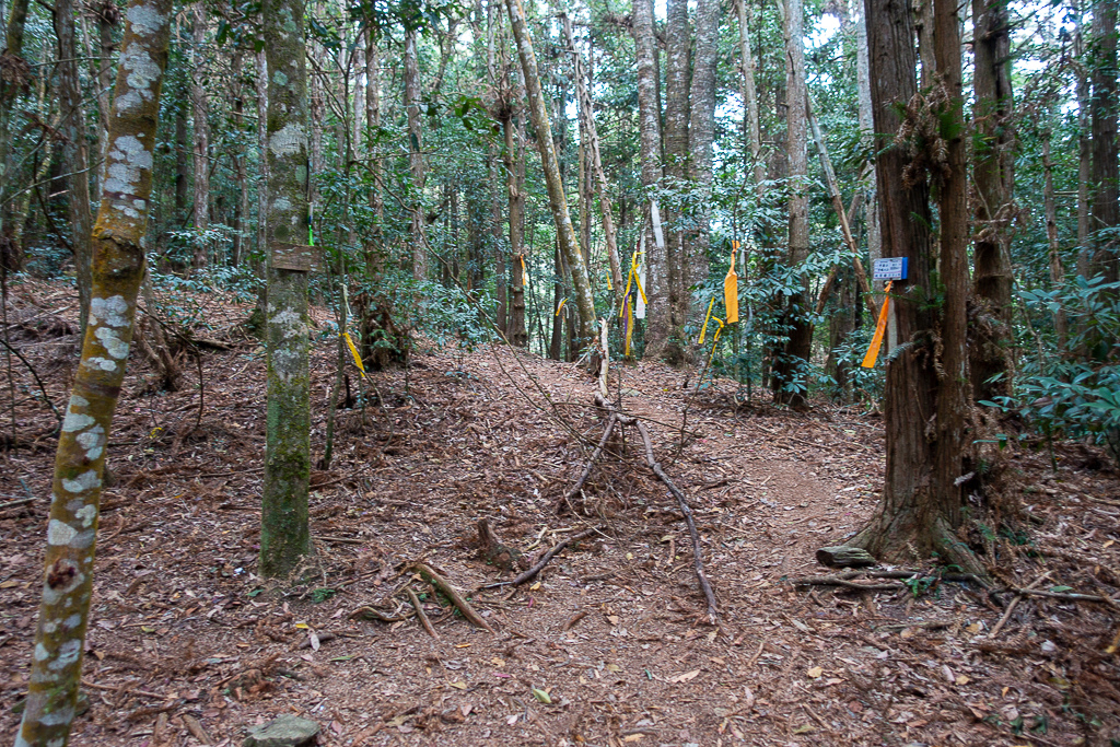 DSC00454.jpg DSC00454.jpg