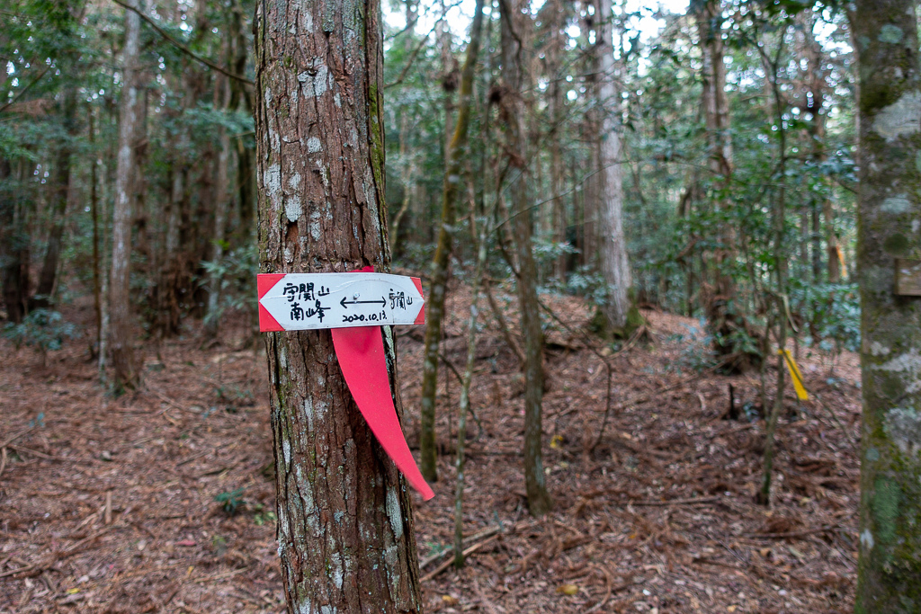 DSC00455.jpg DSC00455.jpg