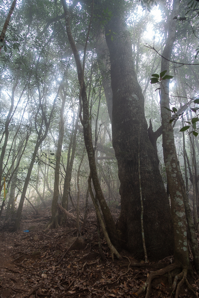 DSC00457.jpg DSC00457.jpg