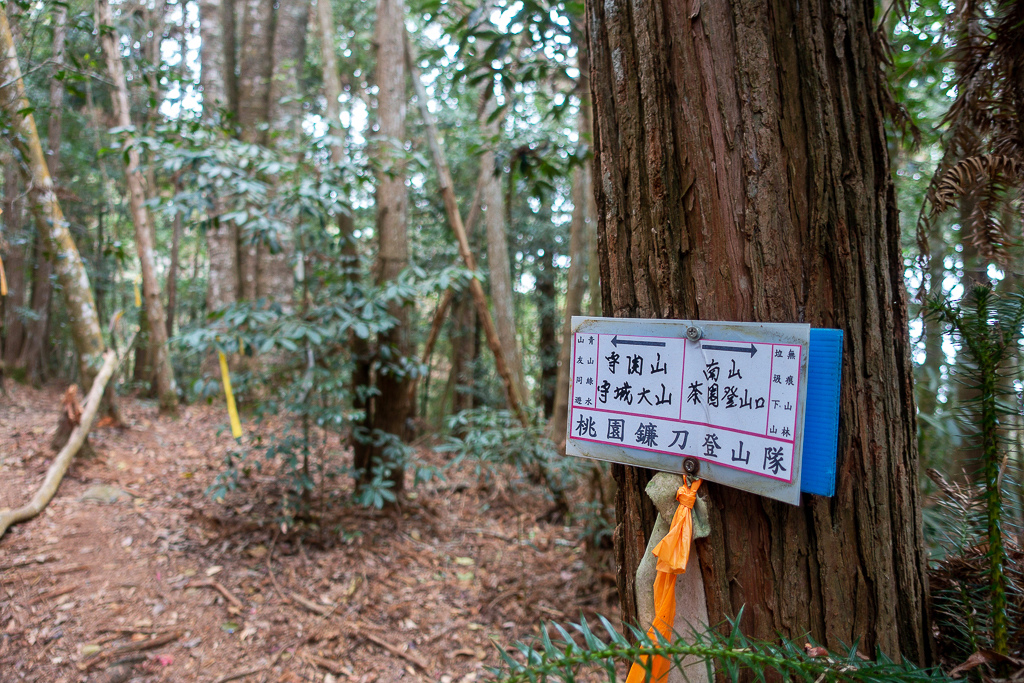 DSC00456.jpg DSC00456.jpg