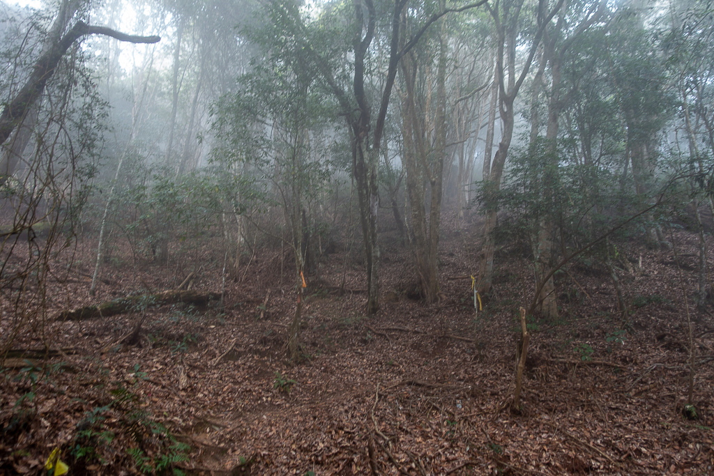 DSC00458.jpg DSC00458.jpg