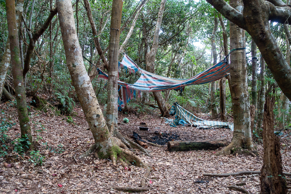 DSC00459.jpg DSC00459.jpg