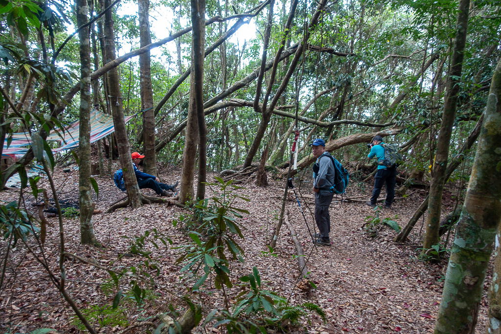 DSC00460.jpg DSC00460.jpg