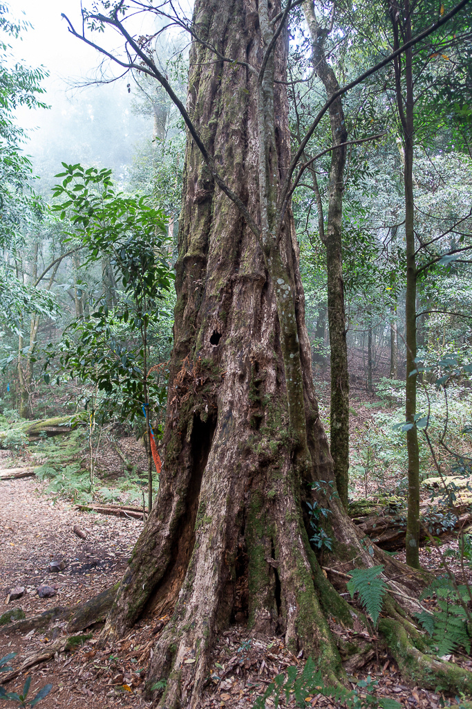 DSC00461.jpg DSC00461.jpg