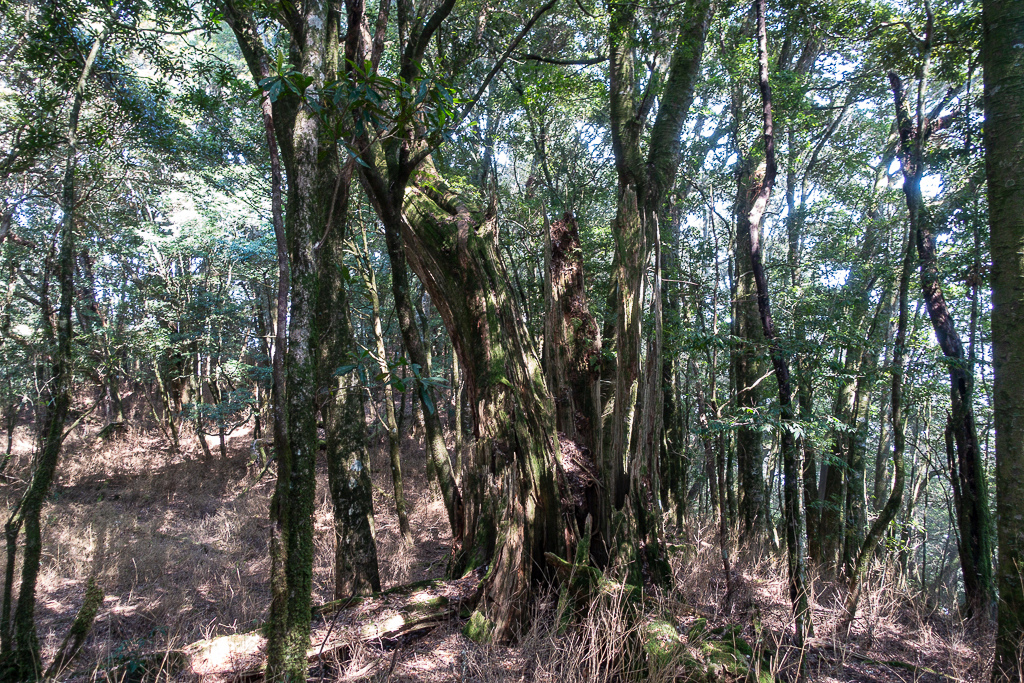 DSC00465.jpg DSC00465.jpg