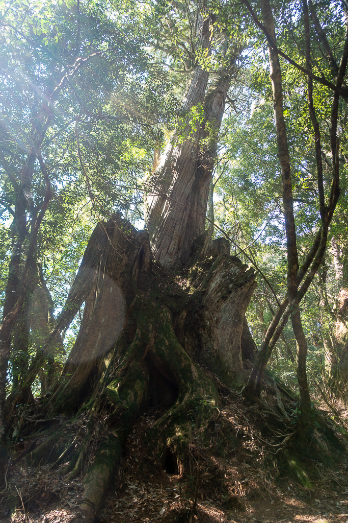 DSC00466.jpg DSC00466.jpg