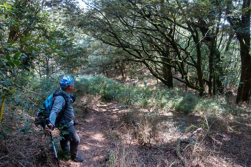 DSC00471.jpg DSC00471.jpg