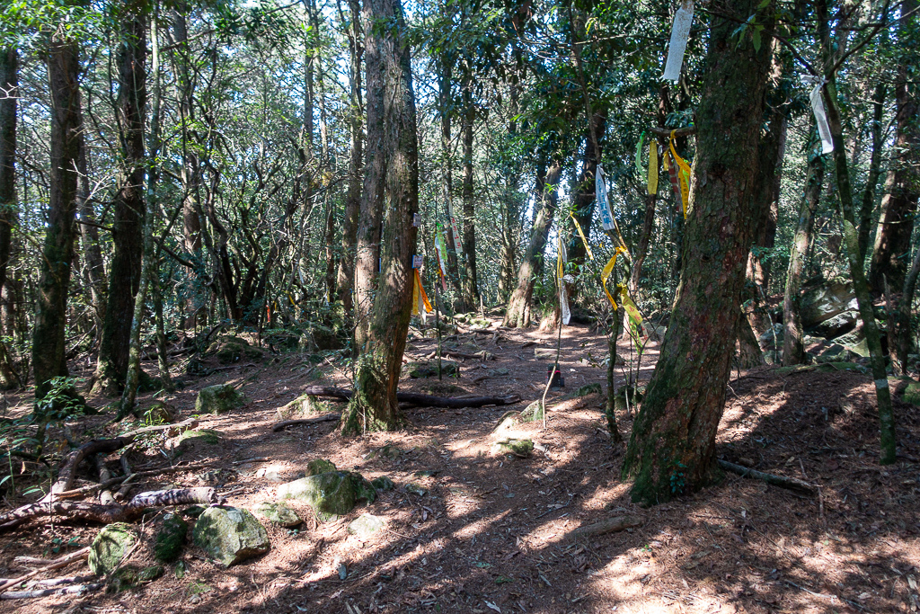 DSC00473.jpg DSC00473.jpg