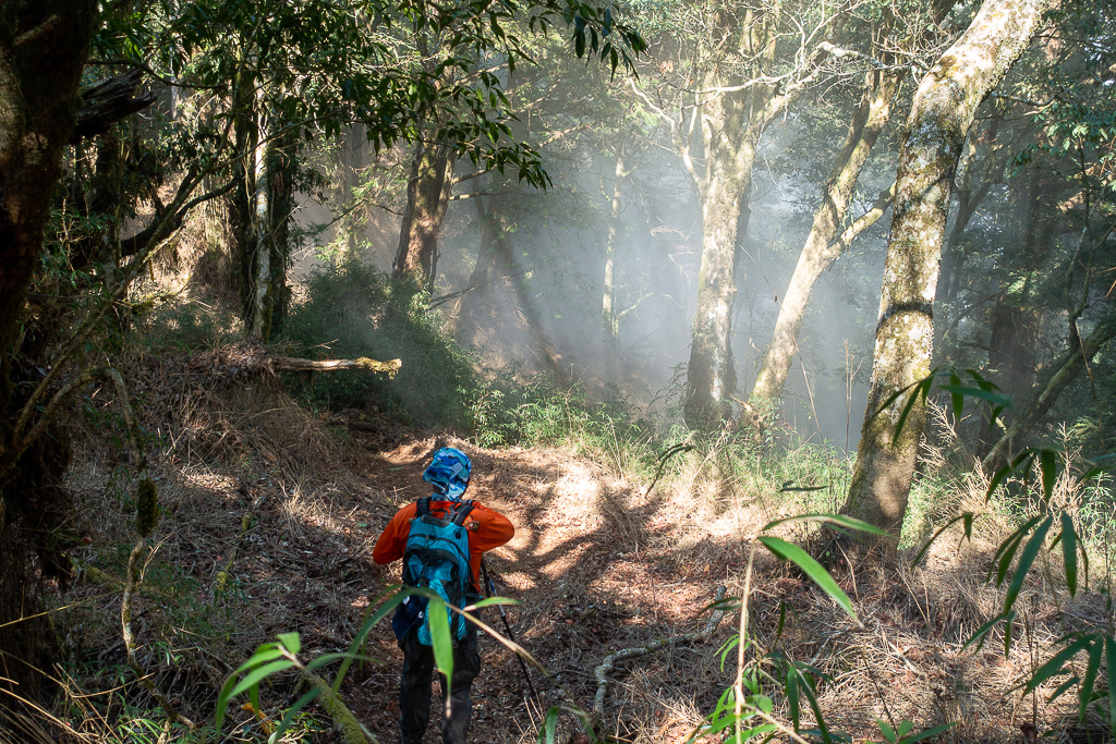 DSC00482.jpg DSC00482.jpg