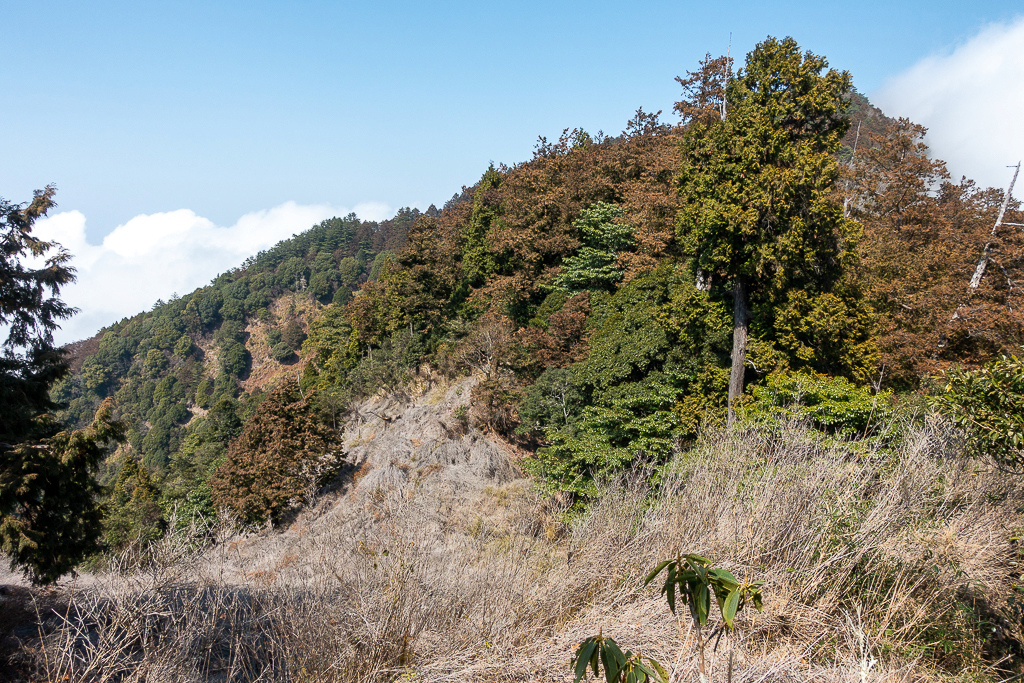 DSC00485.jpg DSC00485.jpg