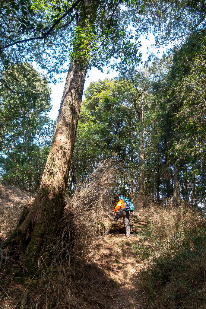 DSC00486.jpg DSC00486.jpg