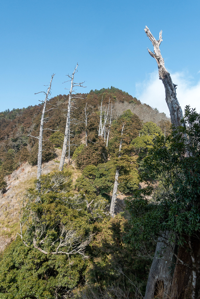 DSC00488.jpg DSC00488.jpg