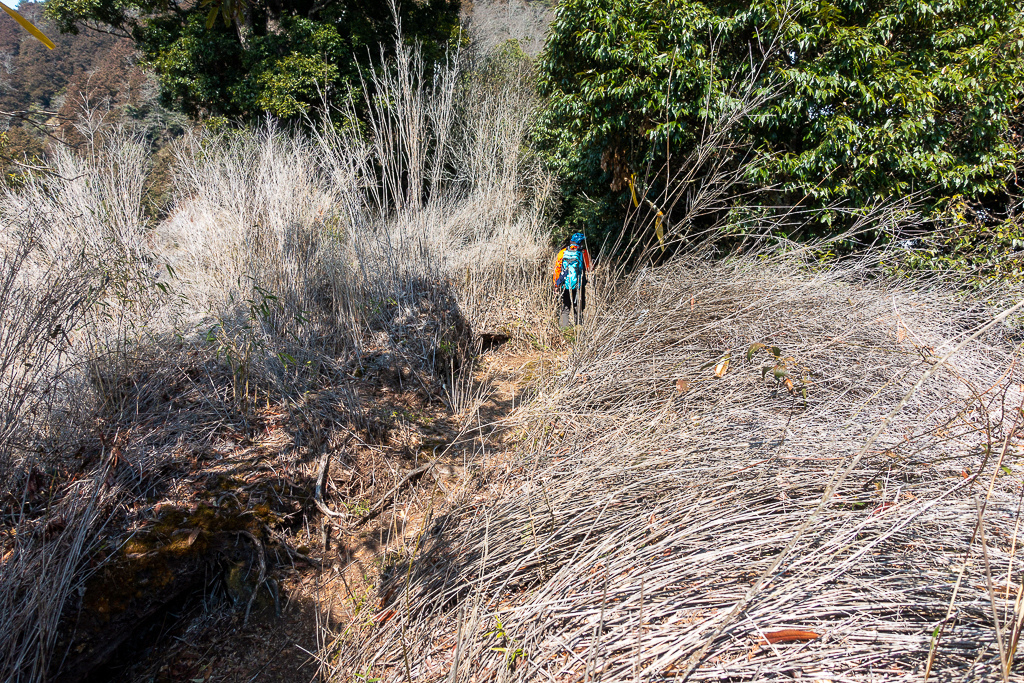 DSC00487.jpg DSC00487.jpg