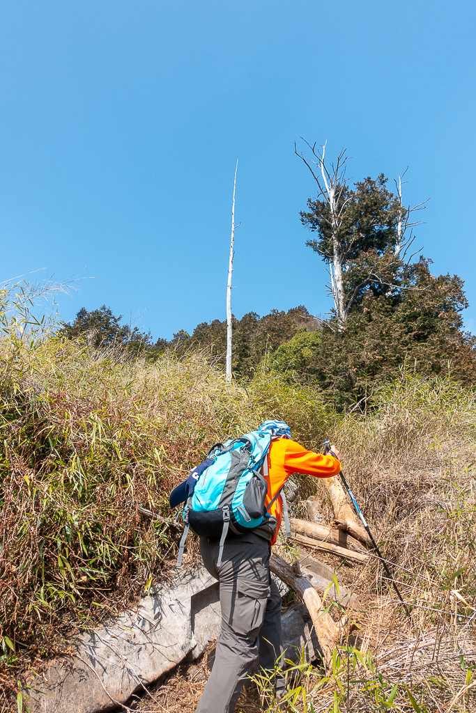 DSC00490.jpg DSC00490.jpg