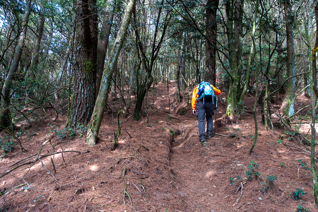 DSC00492.jpg DSC00492.jpg