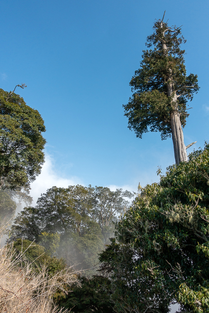 DSC00503.jpg DSC00503.jpg