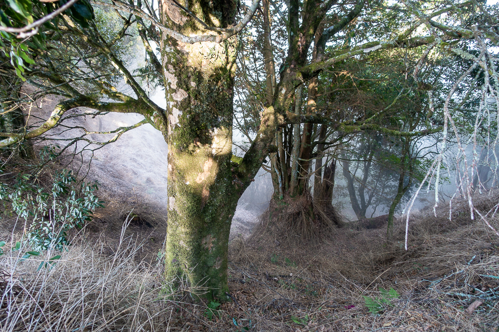 DSC00505.jpg DSC00505.jpg