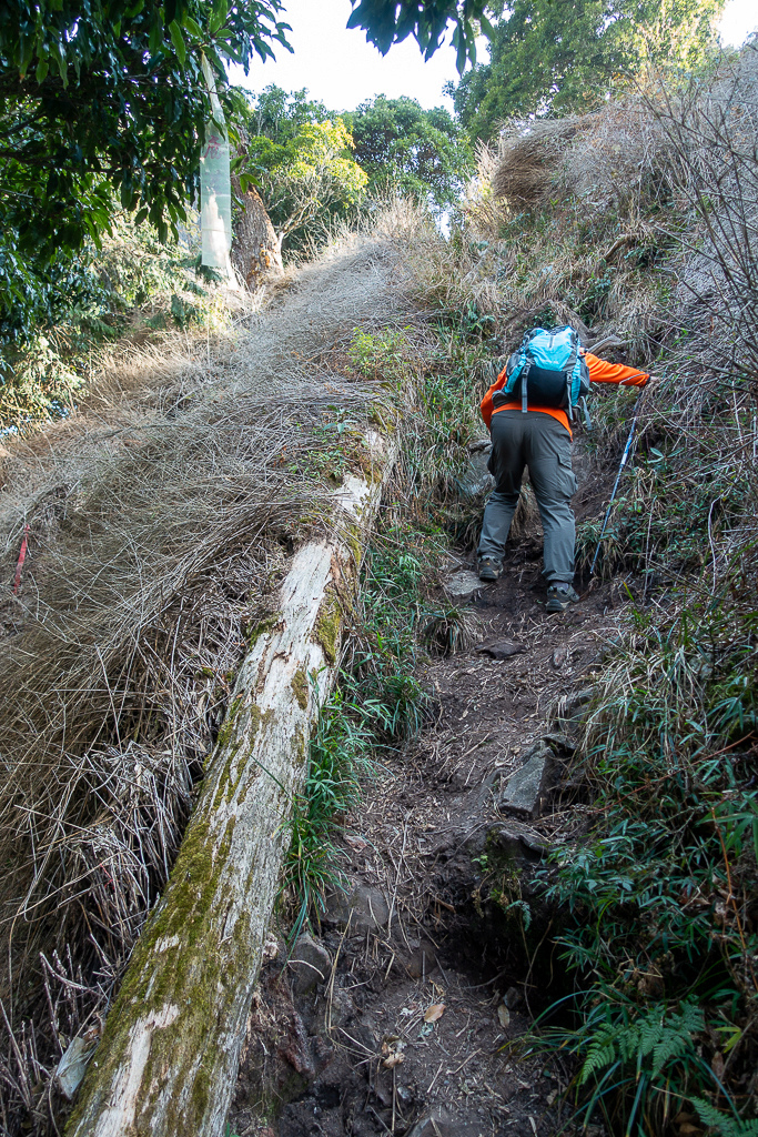 DSC00506.jpg DSC00506.jpg