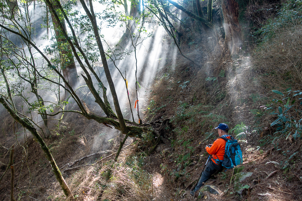 DSC00517.jpg DSC00517.jpg