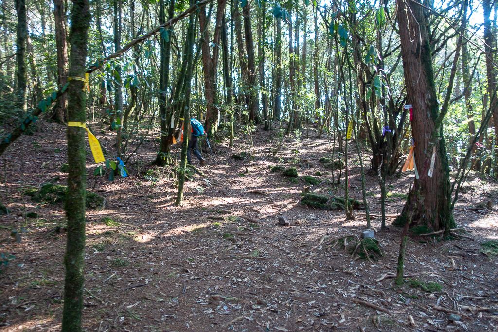 DSC00518.jpg DSC00518.jpg