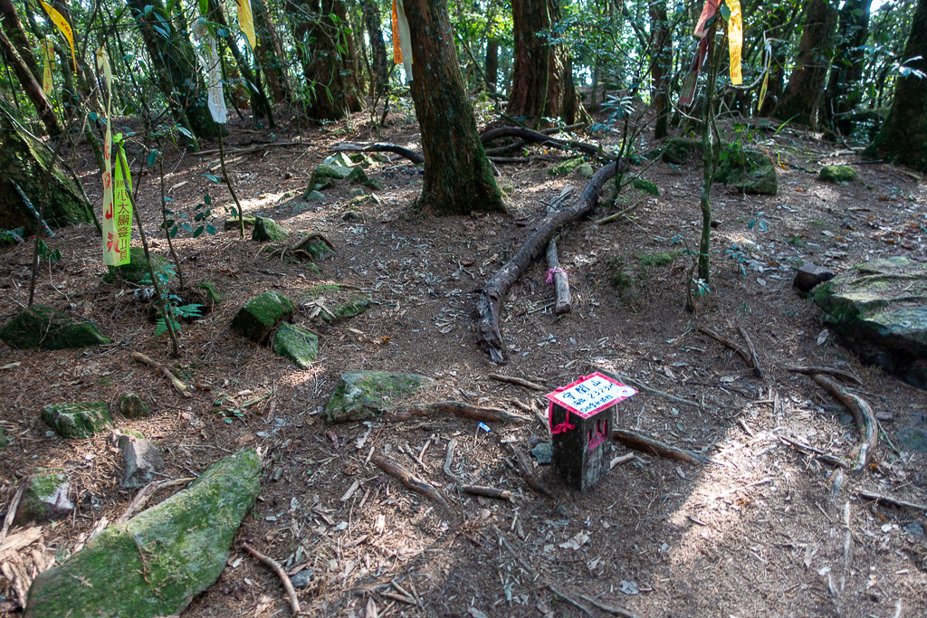 DSC00520.jpg DSC00520.jpg