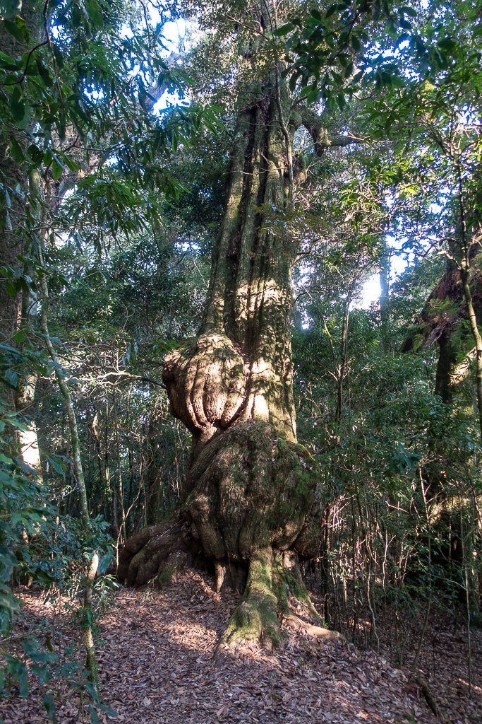 DSC00521.jpg DSC00521.jpg